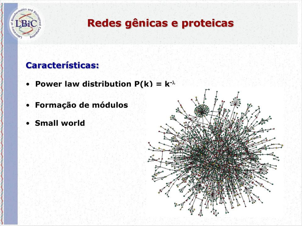 distribution P(k) = k -l