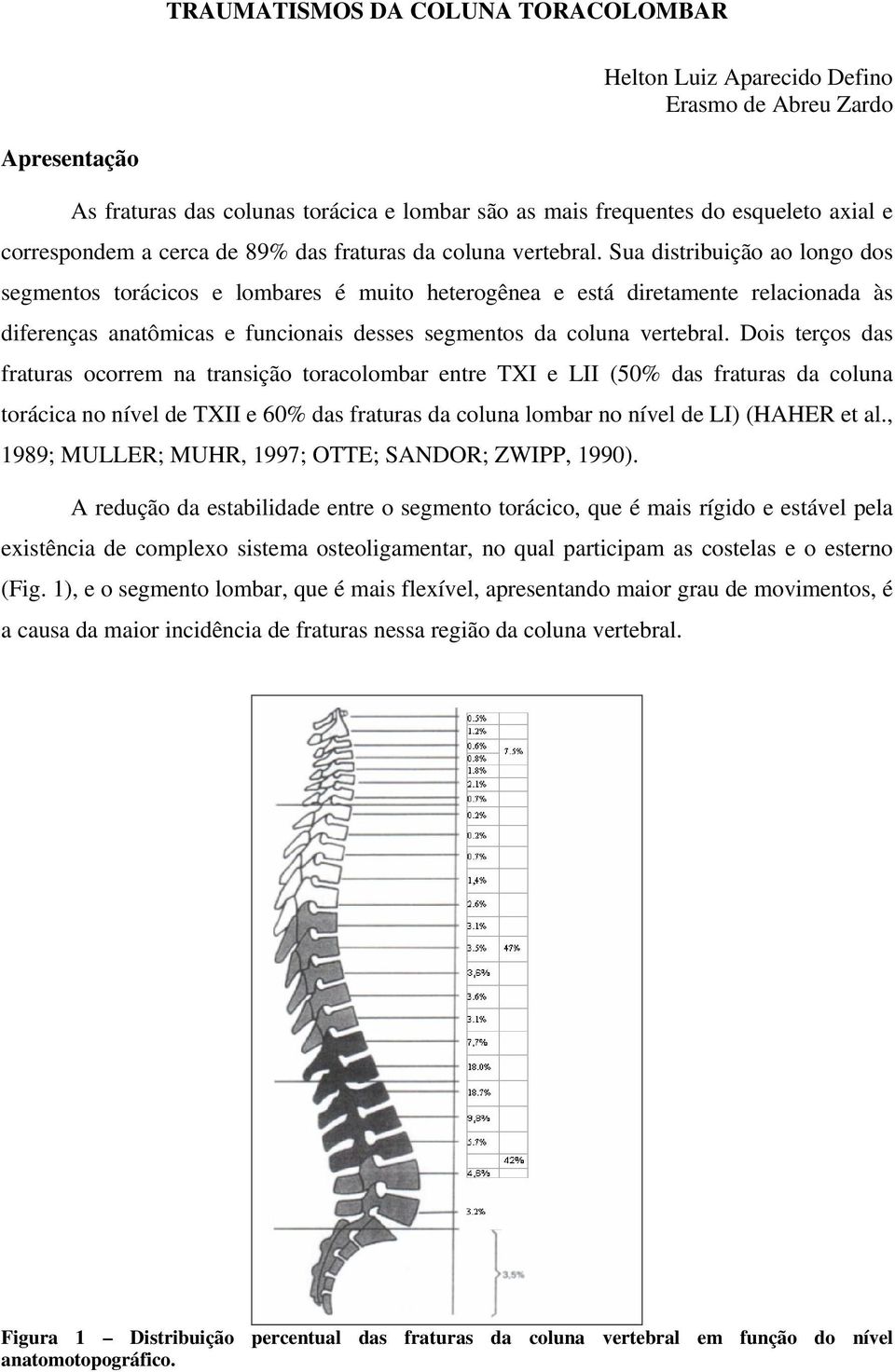 Sua distribuição ao longo dos segmentos torácicos e lombares é muito heterogênea e está diretamente relacionada às diferenças anatômicas e funcionais desses segmentos da coluna vertebral.