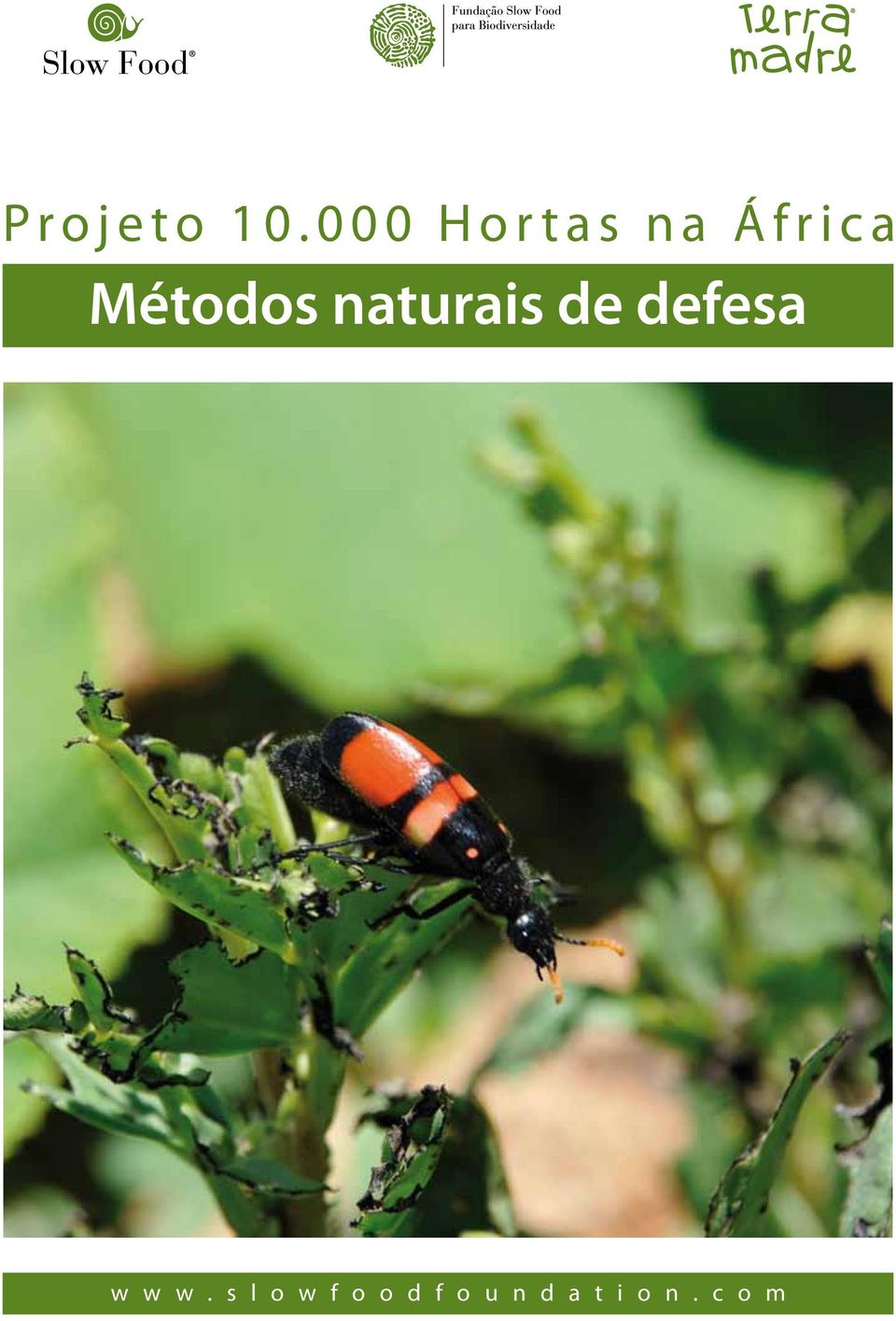 Métodos naturais de defesa