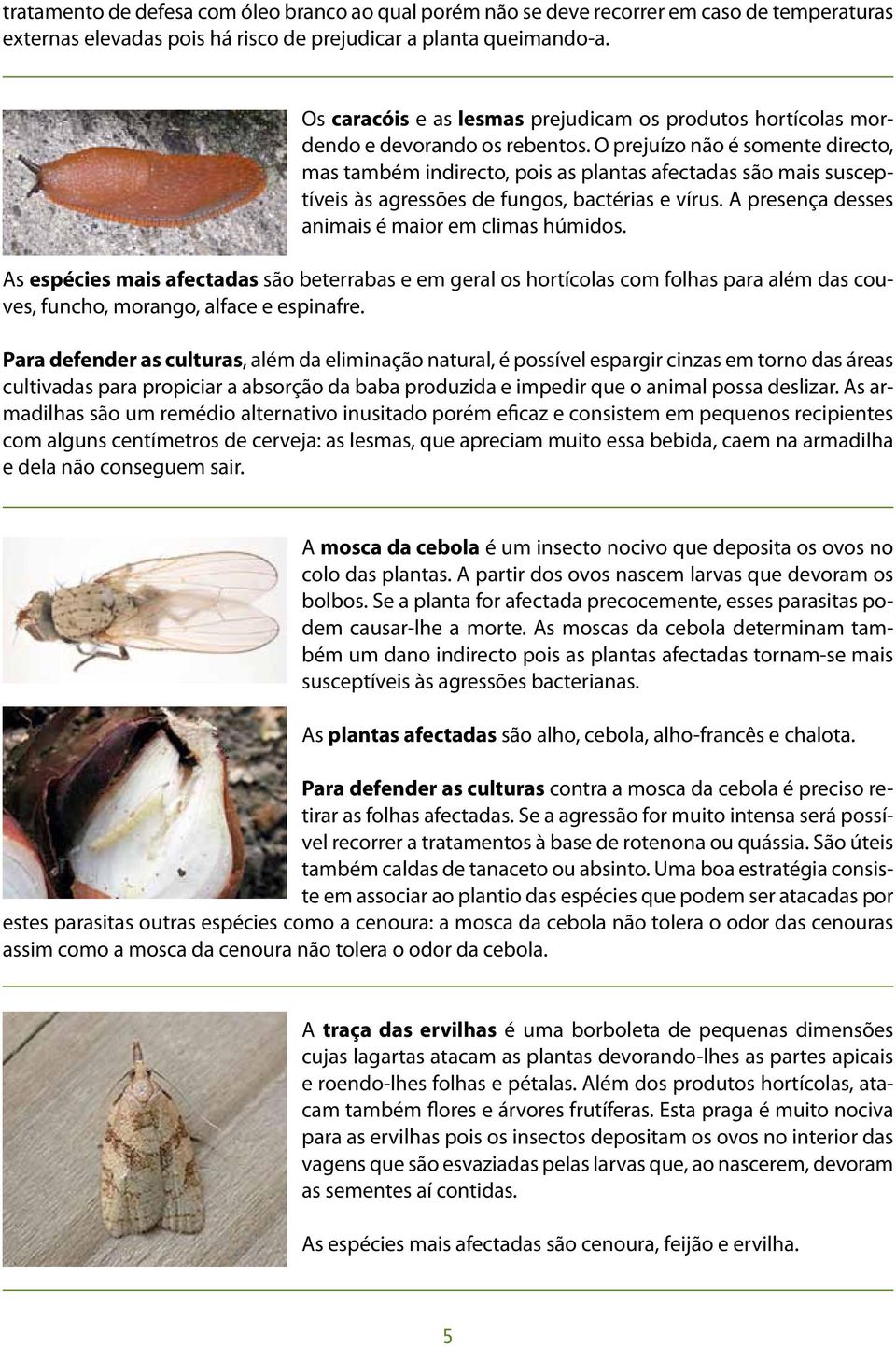 O prejuízo não é somente directo, mas também indirecto, pois as plantas afectadas são mais susceptíveis às agressões de fungos, bactérias e vírus. A presença desses animais é maior em climas húmidos.