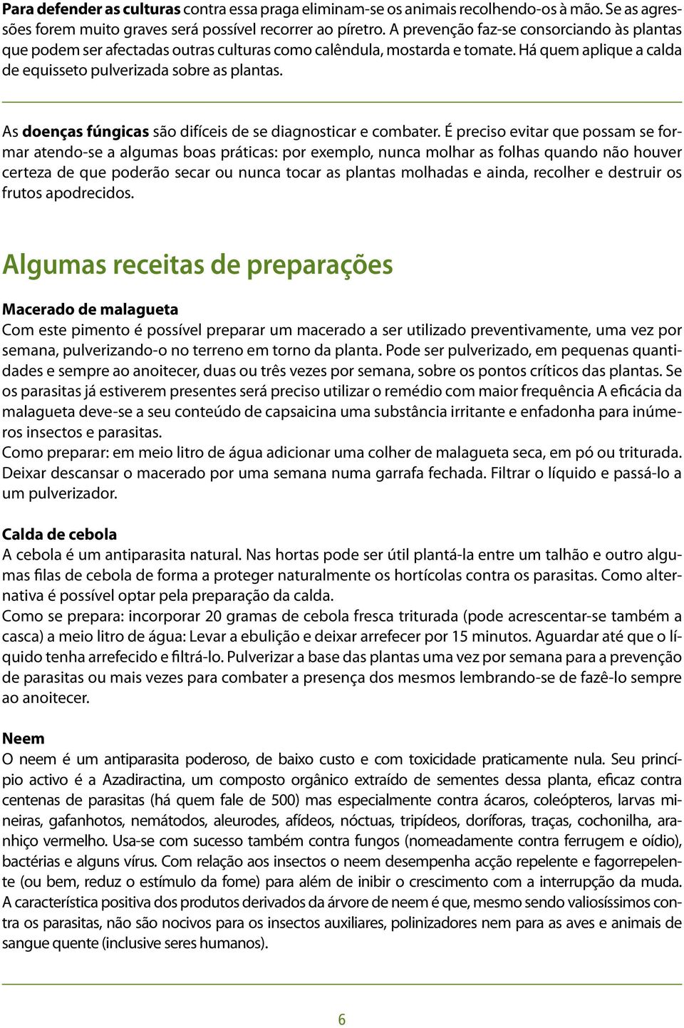 As doenças fúngicas são difíceis de se diagnosticar e combater.