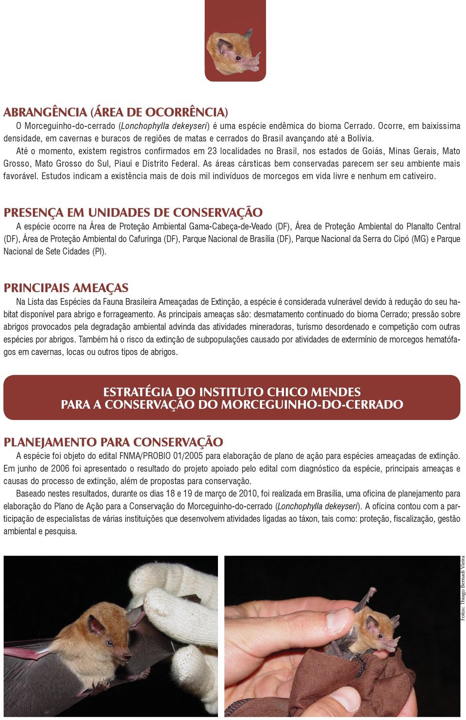 Até o momento, existem registros confirmados em 23 localidades no Brasil, nos estados de Goiás, Minas Gerais, Mato Grosso, Mato Grosso do Sul, Piauí e Distrito Federal.