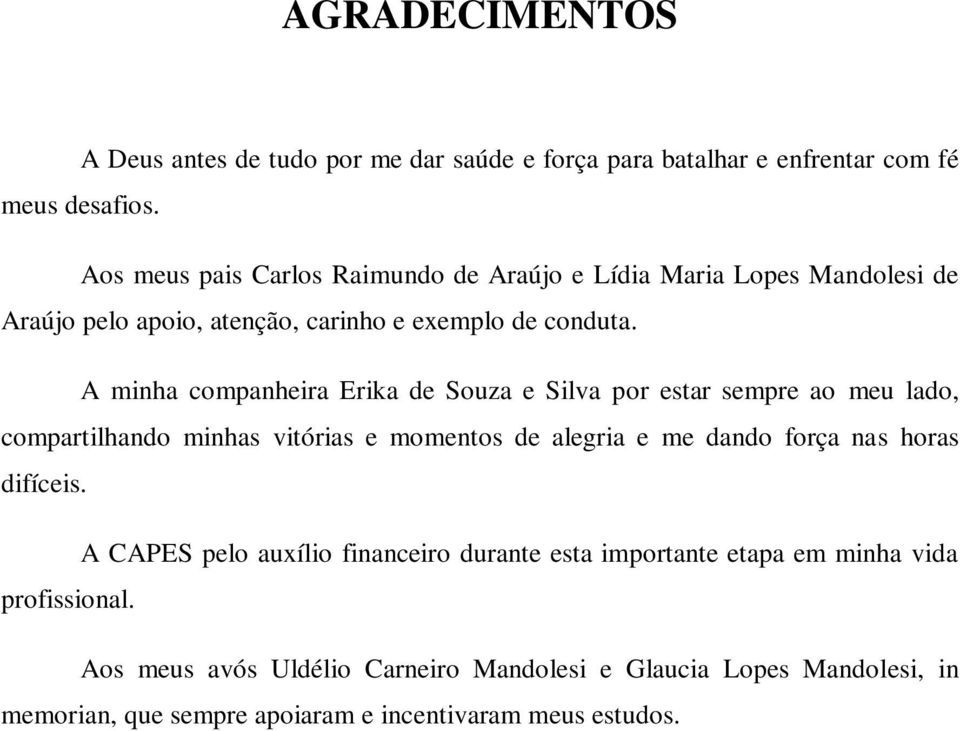 A minha companheira Erika de Souza e Silva por estar sempre ao meu lado, compartilhando minhas vitórias e momentos de alegria e me dando força nas horas