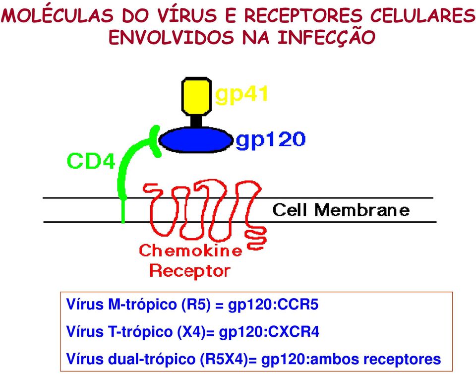 gp120:ccr5 Vírus T-trópico (X4)= gp120:cxcr4