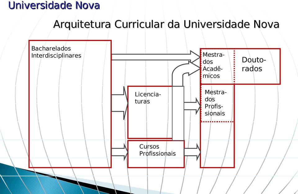 Interdisciplinares Doutorados Mestrados