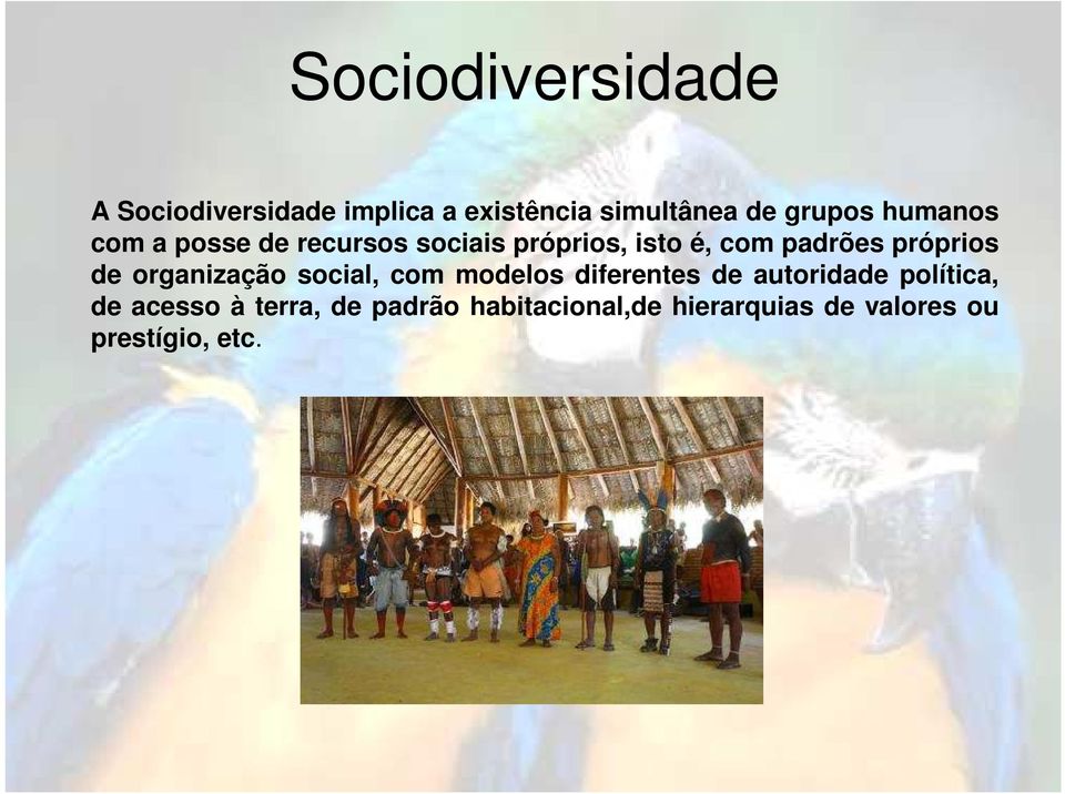 de organização social, com modelos diferentes de autoridade política, de