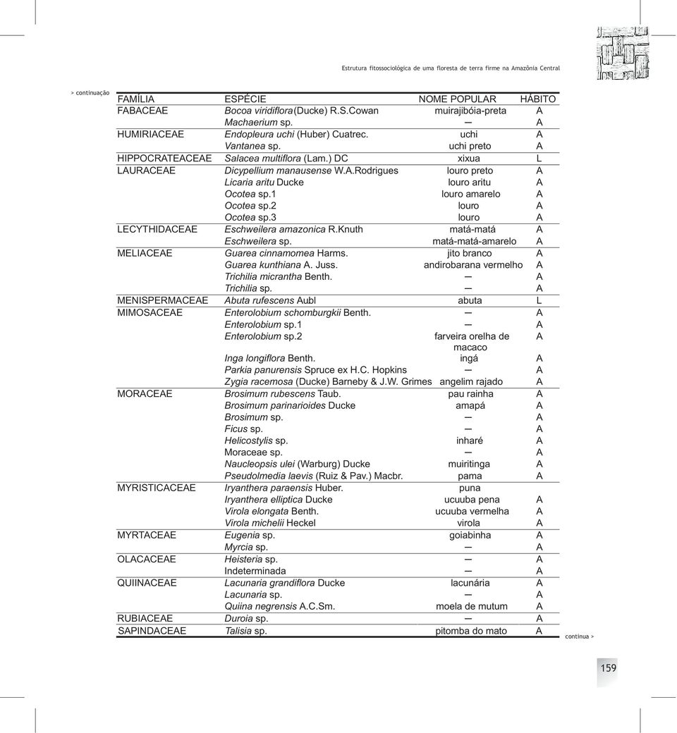 1 louro amarelo A Ocotea sp.2 louro A Ocotea sp.3 louro A LECYTHIDACEAE Eschweilera amazonica R.Knuth matá-matá A Eschweilera sp. matá-matá-amarelo A MELIACEAE Guarea cinnamomea Harms.