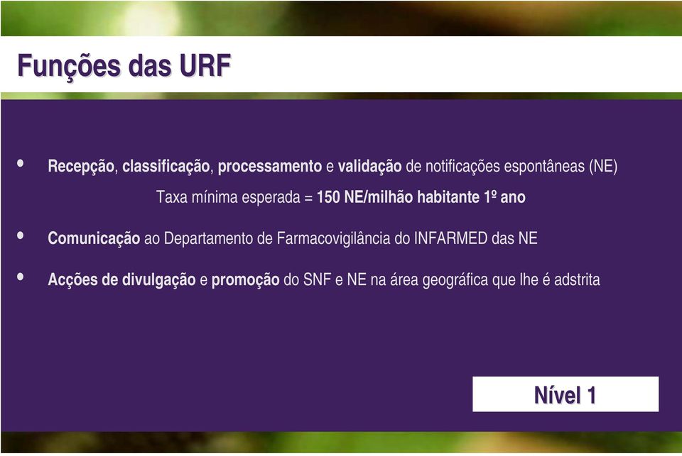 1º ano Comunicação ao Departamento de Farmacovigilância do INFARMED das NE