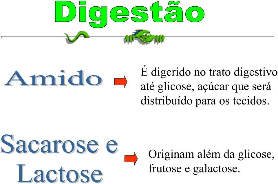 distribuído para os tecidos.