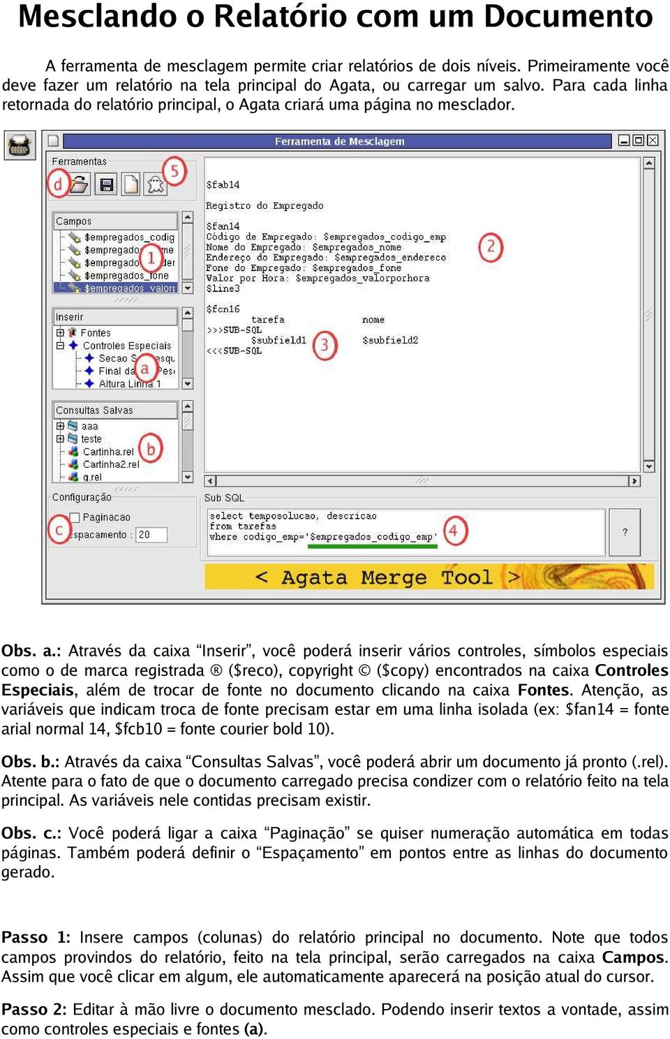 : Através da caixa Inserir, você poderá inserir vários controles, símbolos especiais como o de marca registrada ($reco), copyright ($copy) encontrados na caixa Controles Especiais, além de trocar de