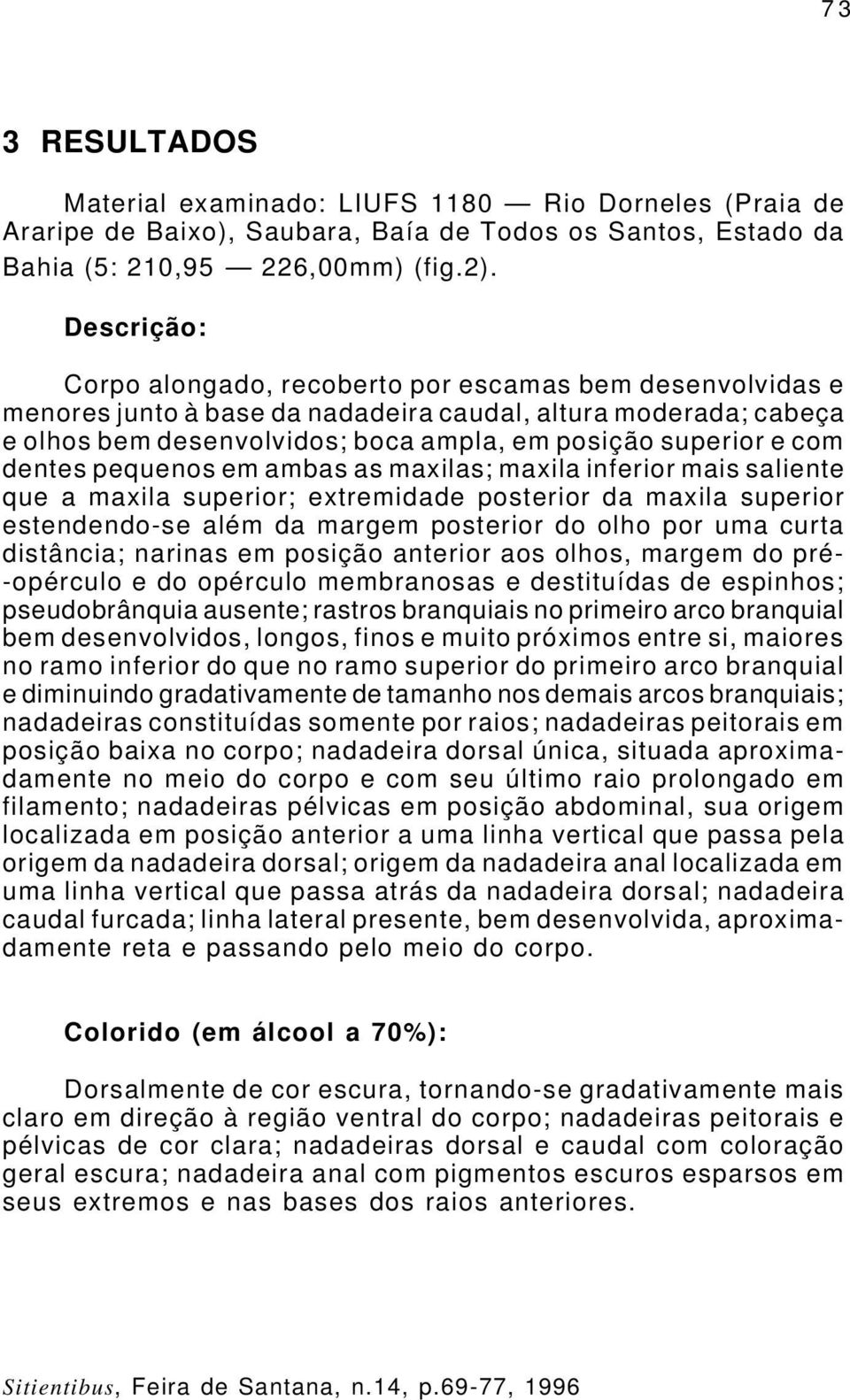 dentes pequenos em ambas as maxilas; maxila inferior mais saliente que a maxila superior; extremidade posterior da maxila superior estendendo-se além da margem posterior do olho por uma curta