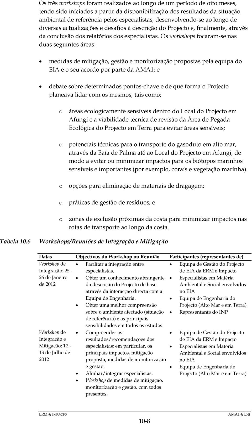 Os workshops focaram-se nas duas seguintes áreas: medidas de mitigação, gestão e monitorização propostas pela equipa do EIA e o seu acordo por parte da AMA1; e debate sobre determinados pontos-chave