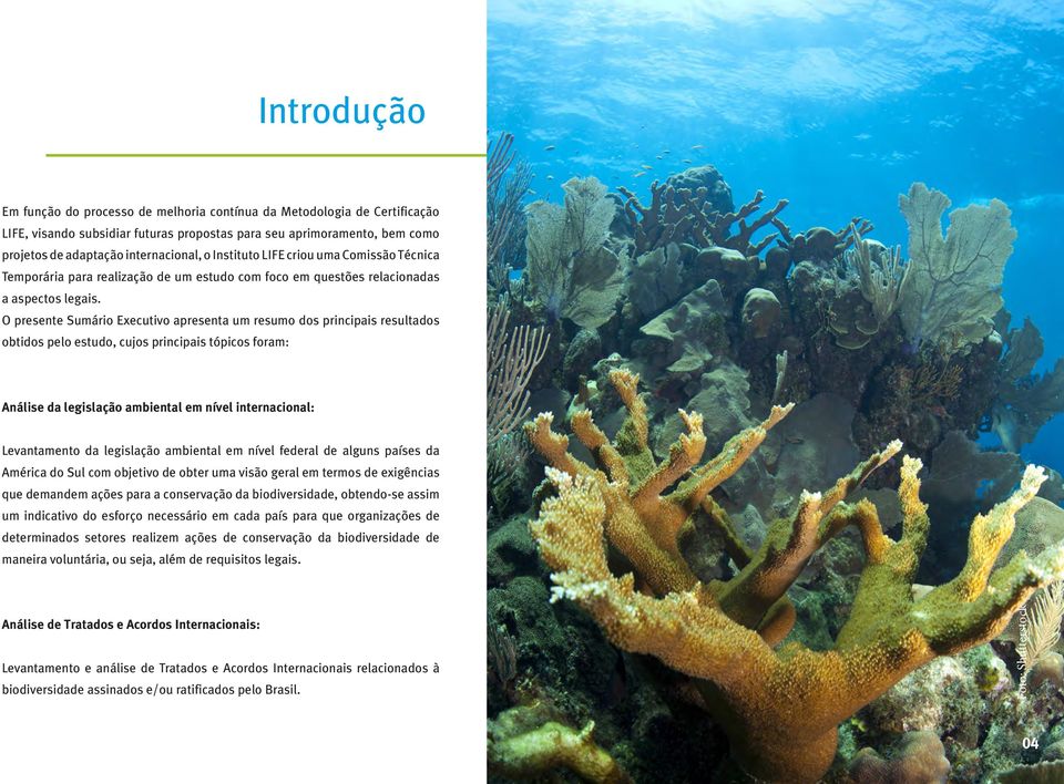 O presente Sumário Executivo apresenta um resumo dos principais resultados obtidos pelo estudo, cujos principais tópicos foram: Análise da legislação ambiental em nível internacional: Levantamento da