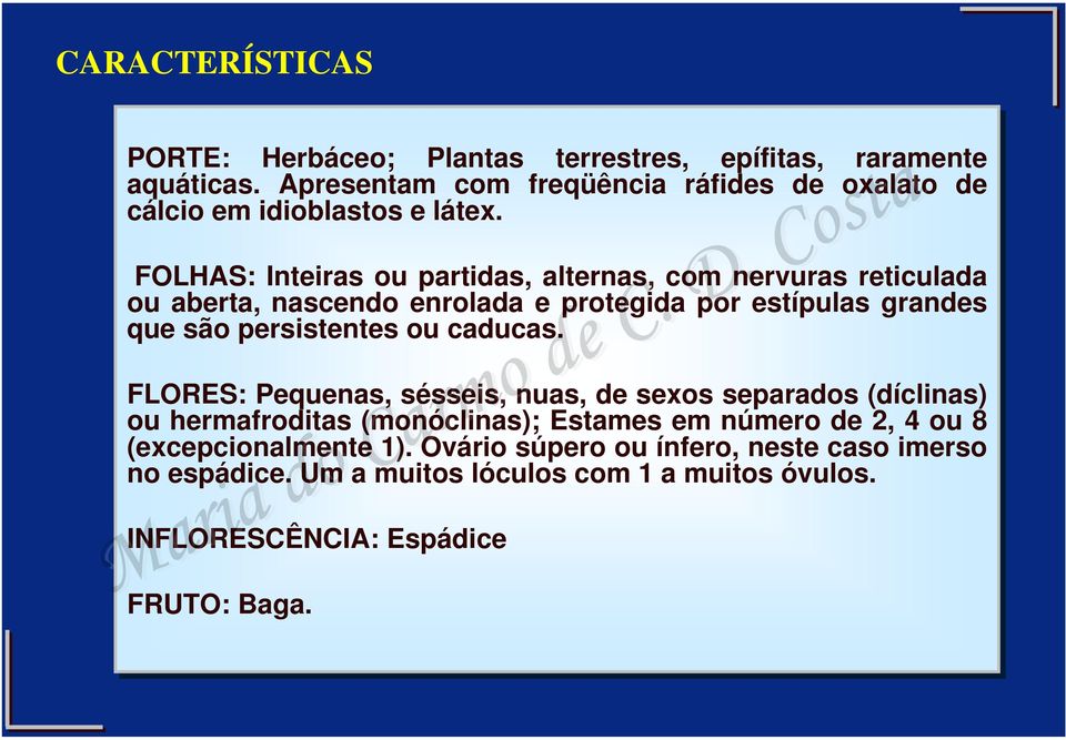 FOLHAS: Inteiras ou partidas, alternas, com nervuras reticulada ou aberta, nascendo enrolada e protegida por estípulas grandes que são persistentes ou