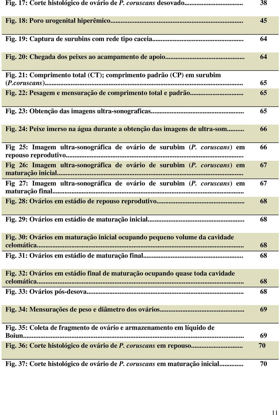 22: Pesagem e mensuração de comprimento total e padrão... 65 Fig. 23: Obtenção das imagens ultra-sonograficas... 65 Fig. 24: Peixe imerso na água durante a obtenção das imagens de ultra-som.