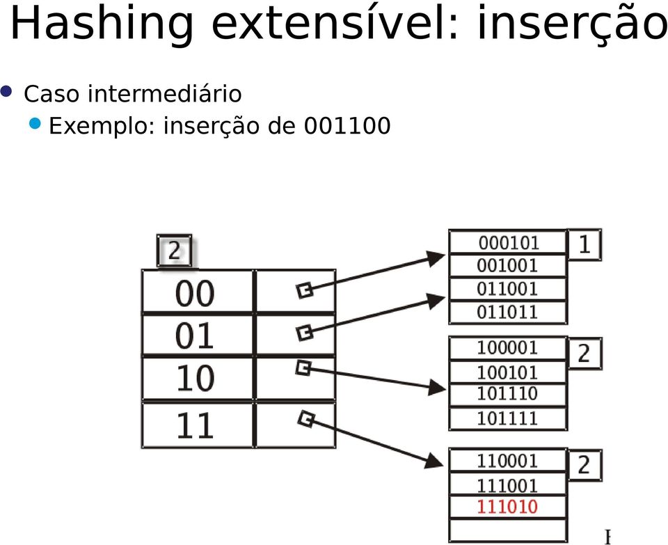 inserção Caso