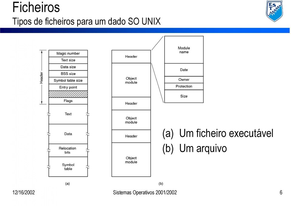 executável (b) Um arquivo