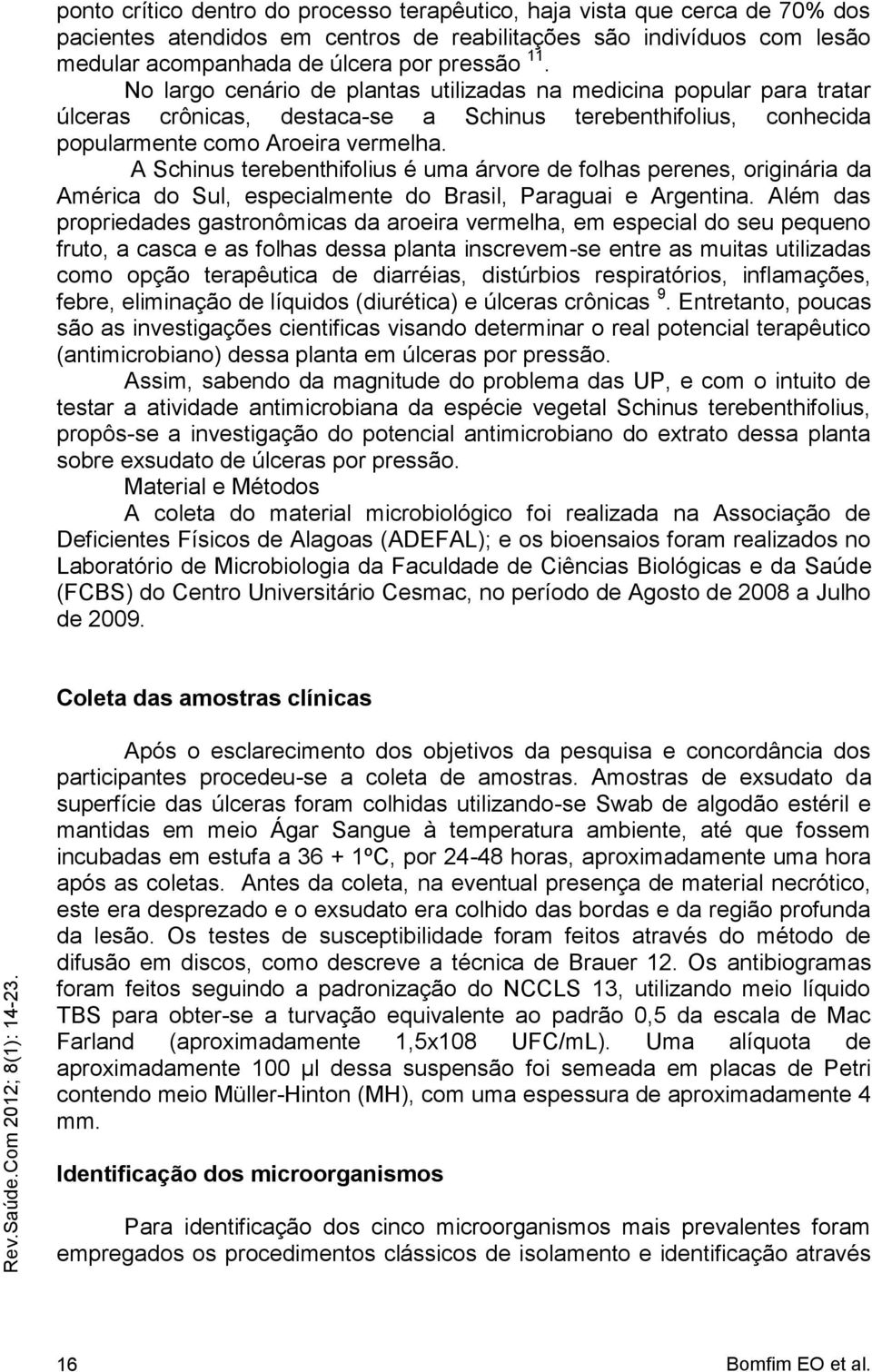 A Schinus terebenthifolius é uma árvore de folhas perenes, originária da América do Sul, especialmente do Brasil, Paraguai e Argentina.