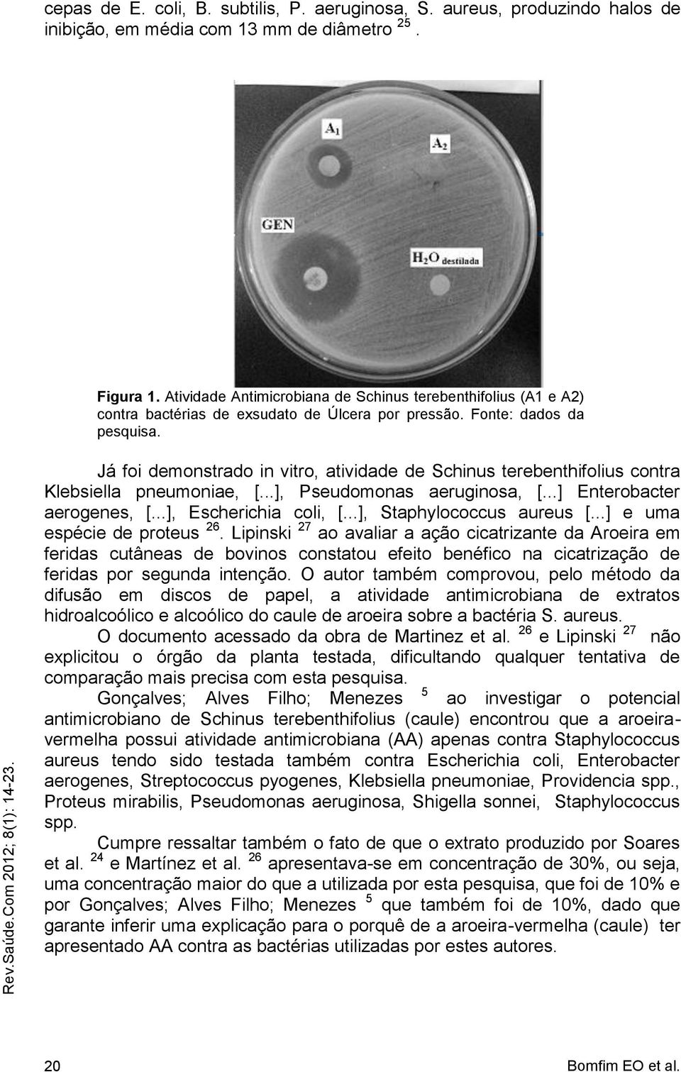 Já foi demonstrado in vitro, atividade de Schinus terebenthifolius contra Klebsiella pneumoniae, [...], Pseudomonas aeruginosa, [...] Enterobacter aerogenes, [...], Escherichia coli, [.