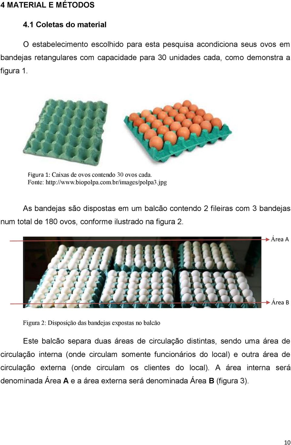 Figura 1: Caixas de ovos contendo 30 ovos cada. Fonte: http://www.biopolpa.com.br/images/polpa3.
