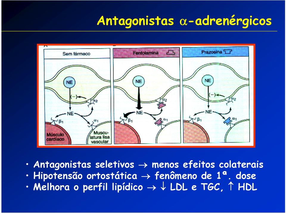 colaterais Hipotensão ortostática