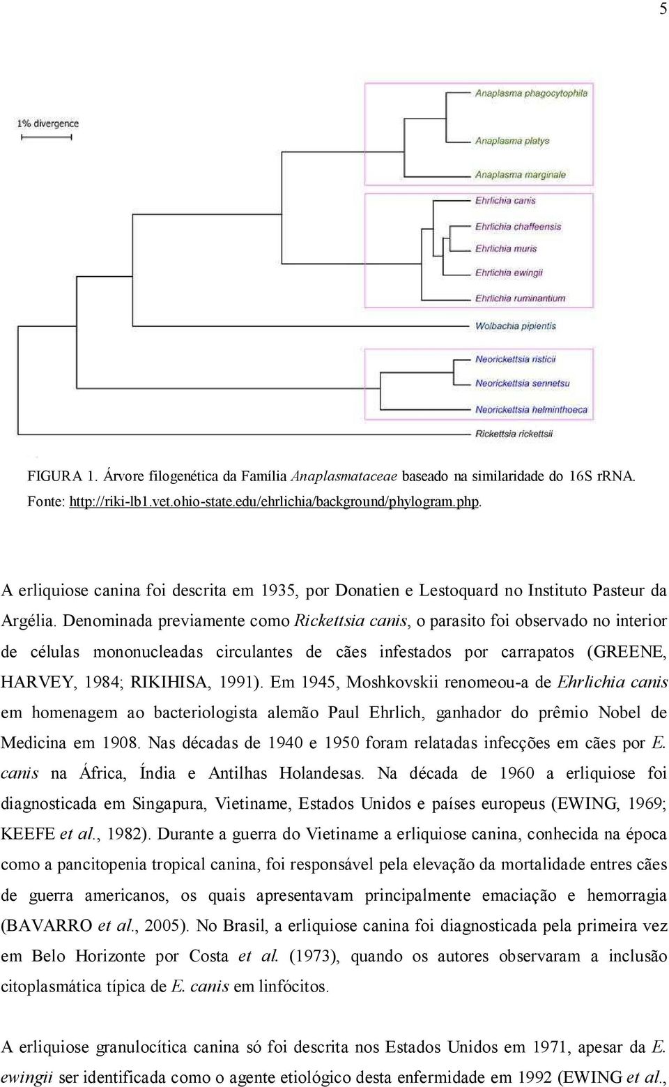 Denominada previamente como Rickettsia canis, o parasito foi observado no interior de células mononucleadas circulantes de cães infestados por carrapatos (GREENE, HARVEY, 1984; RIKIHISA, 1991).