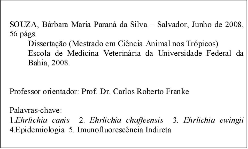 Universidade Federal da Bahia, 2008. Professor orientador: Prof. Dr.