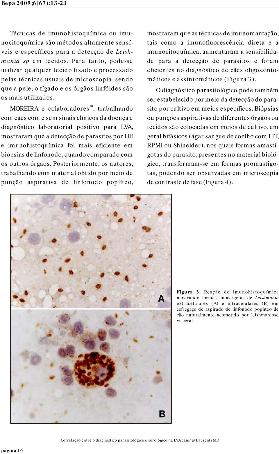 10 MOREIRA e colaboradores, trabalhando com cães com e sem sinais clínicos da doença e diagnóstico laboratorial positivo para LVA, mostraram que a detecção de parasitos por HE e imunohistoquímica foi