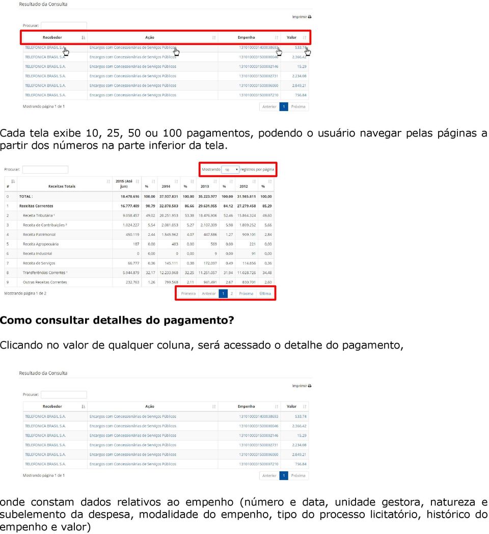 Clicando no valor de qualquer coluna, será acessado o detalhe do pagamento, onde constam dados relativos ao