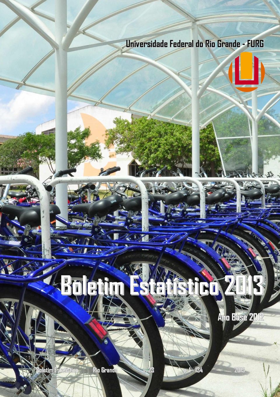 FURG Boletim Estatístico 2013 Ano Base
