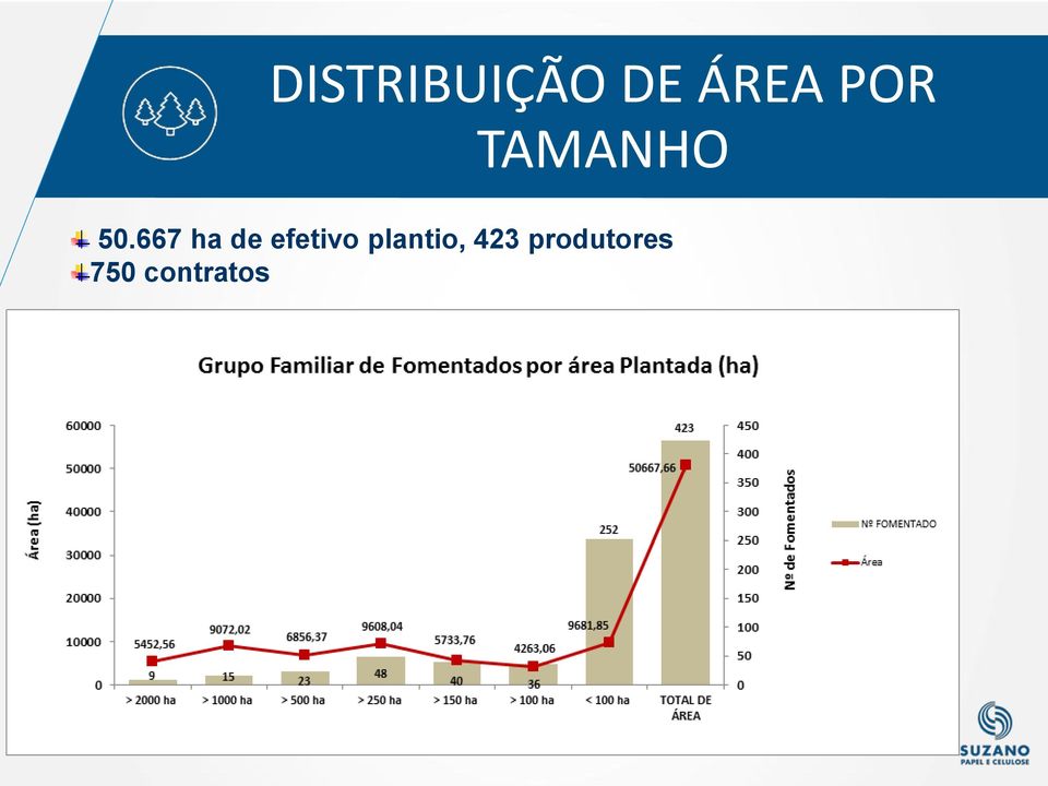 667 ha de efetivo