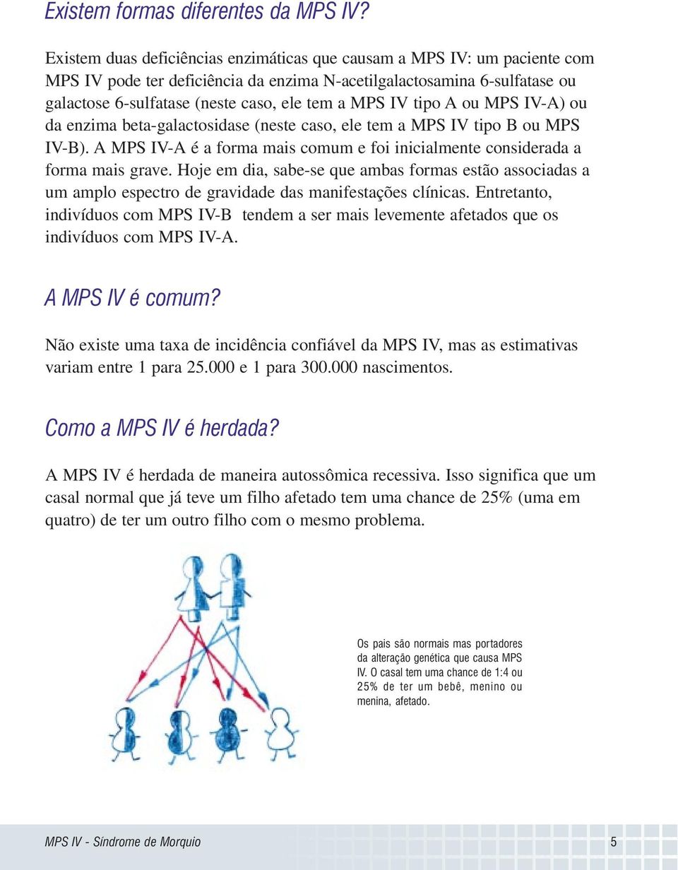 IV tipo A ou MPS IV-A) ou da enzima beta-galactosidase (neste caso, ele tem a MPS IV tipo B ou MPS IV-B). A MPS IV-A é a forma mais comum e foi inicialmente considerada a forma mais grave.