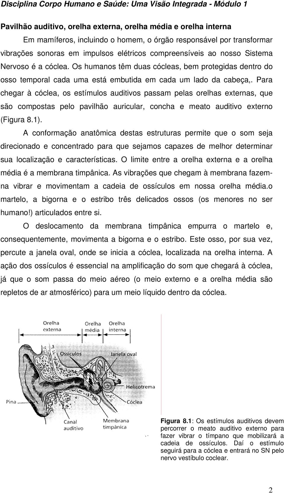 Para chegar à cóclea, os estímulos auditivos passam pelas orelhas externas, que são compostas pelo pavilhão auricular, concha e meato auditivo externo (Figura 8.1).