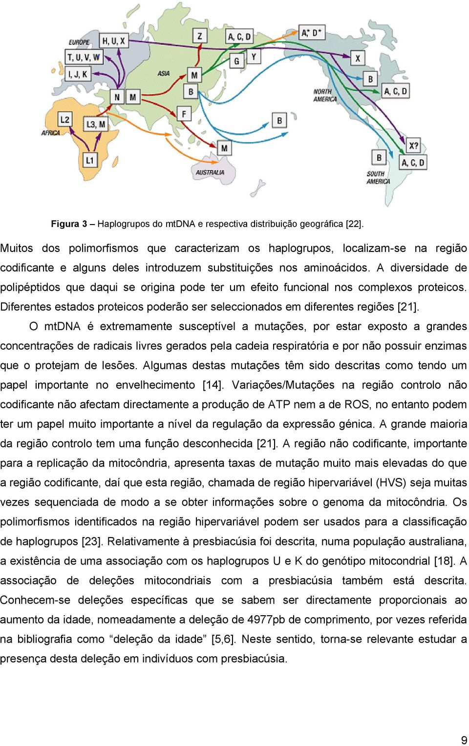 A diversidade de polipéptidos que daqui se origina pode ter um efeito funcional nos complexos proteicos. Diferentes estados proteicos poderão ser seleccionados em diferentes regiões [21].