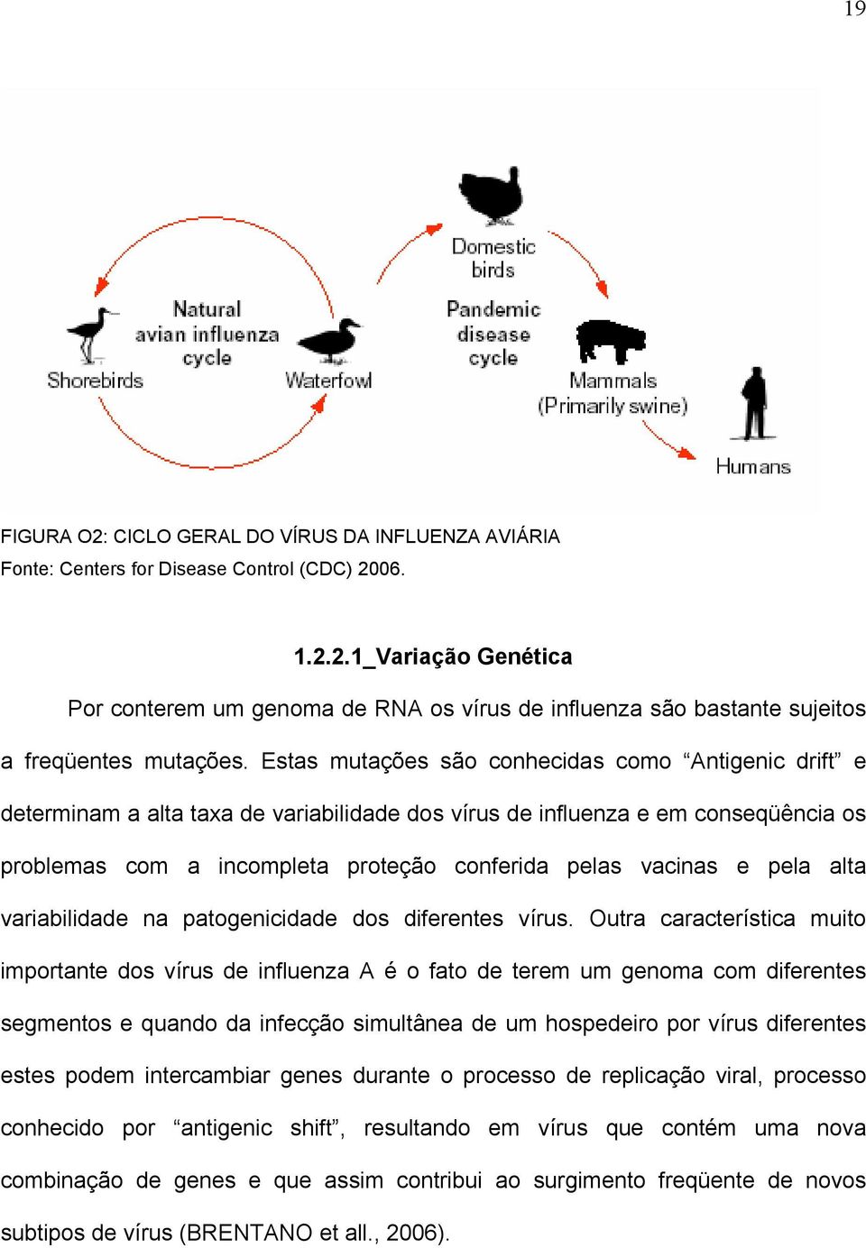 pela alta variabilidade na patogenicidade dos diferentes vírus.