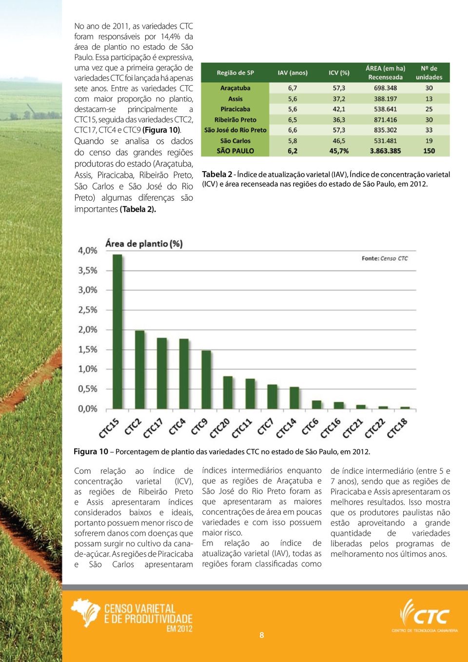 Entre as variedades CTC com maior proporção no plantio, destacam-se principalmente a CTC15, seguida das variedades CTC2, CTC17, CTC4 e CTC9 (Figura 10).