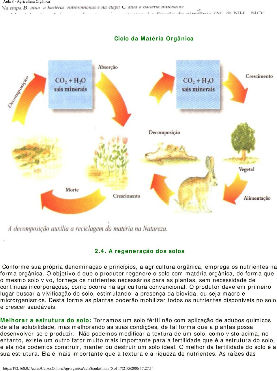 ocorre na agricultura convencional. O produtor deve em primeiro lugar buscar a vivificação do solo, estimulando a presença da biovida, ou seja macro e microrganismos.