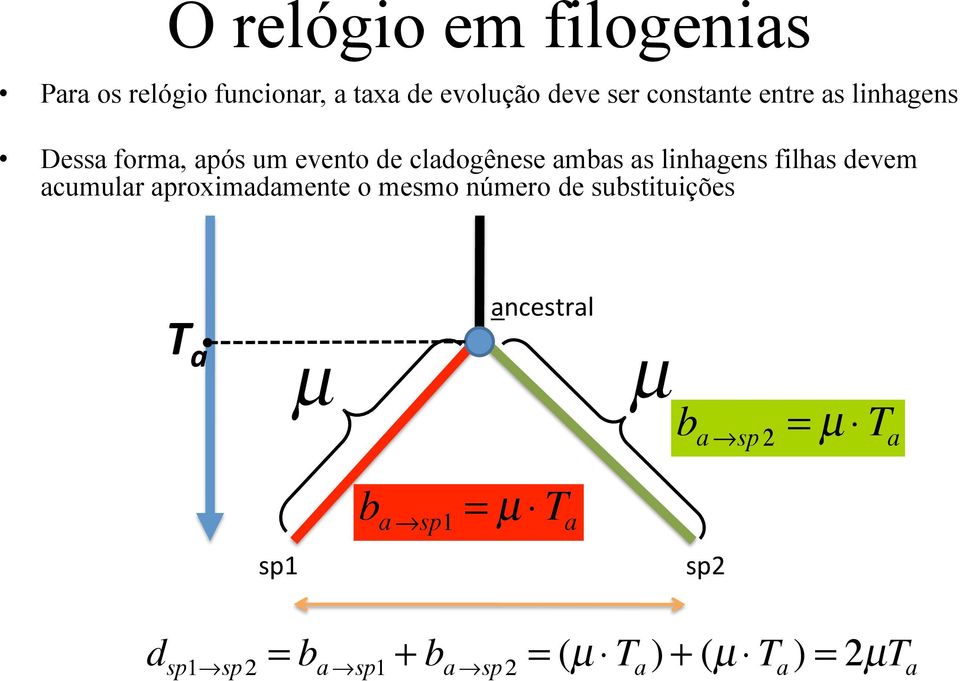 devem acumular aproximadamente o mesmo número de substituições ancestral T a µ µ b a sp 2