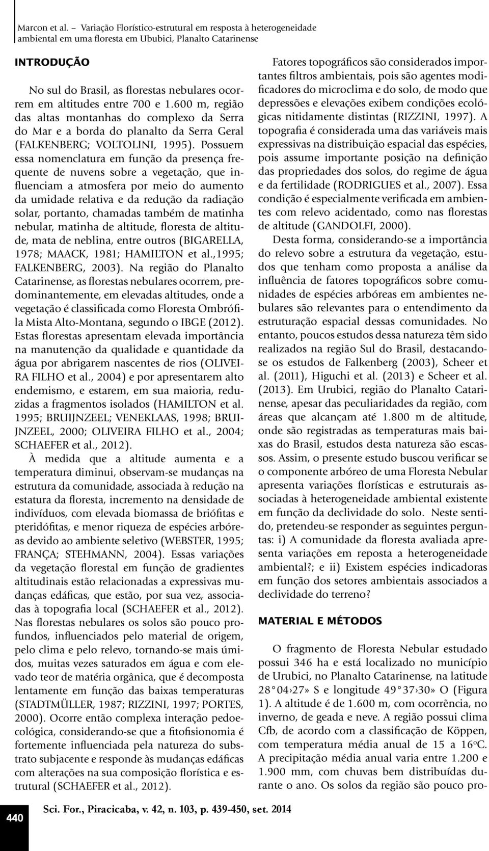 700 e 1.600 m, região das altas montanhas do complexo da Serra do Mar e a borda do planalto da Serra Geral (FALKENBERG; VOLTOLINI, 1995).