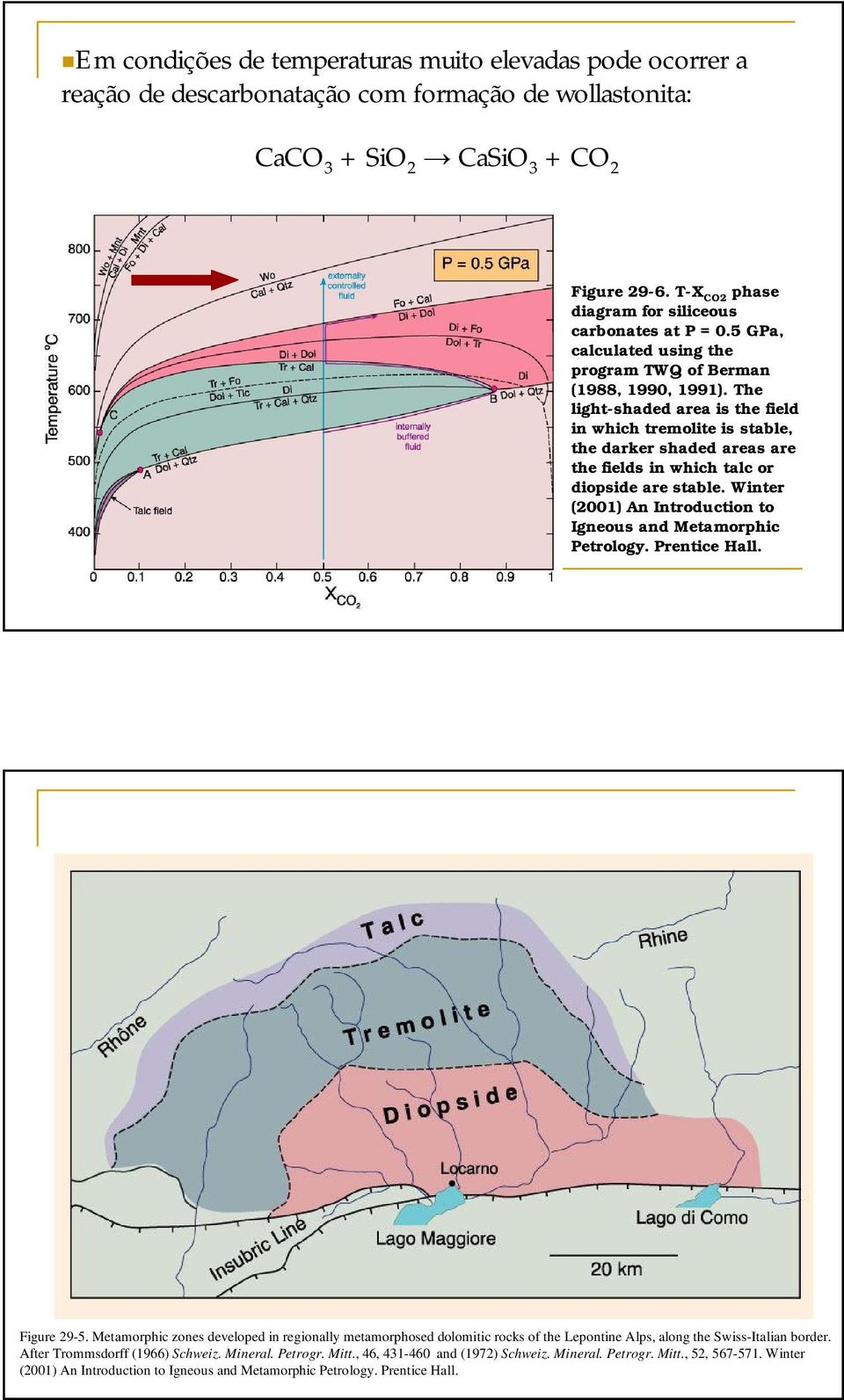 The light-shaded area is the field in which tremolite is stable, the darker shaded areas are the fields in which talc or diopside are stable.