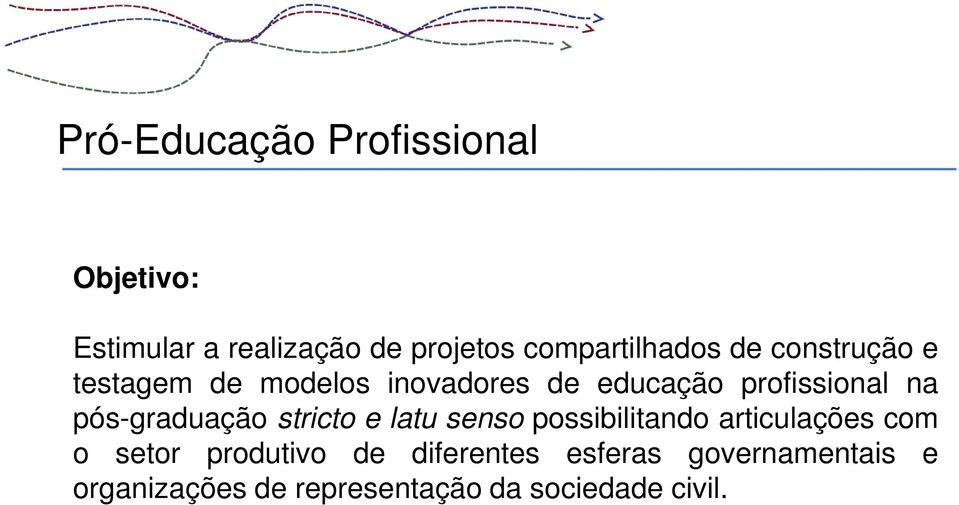 profissional na pós-graduação stricto e latu senso possibilitando articulações com