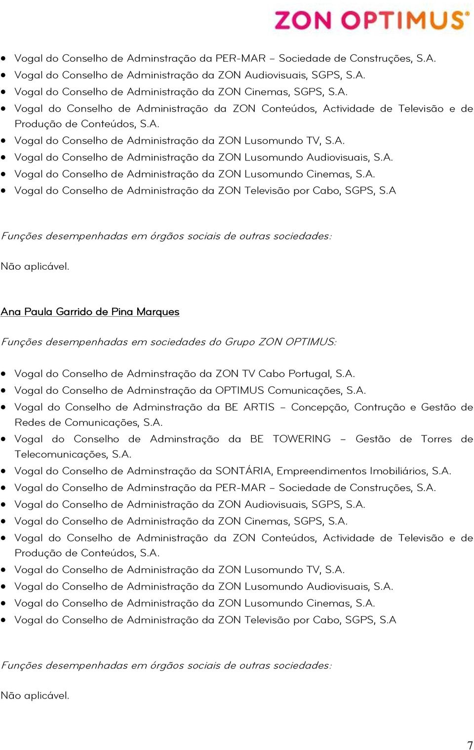 Lusomundo Audiovisuais, Vogal do Conselho de Administração da ZON Lusomundo Cinemas, Vogal do Conselho de Administração da ZON Televisão por Cabo, SGPS, S.