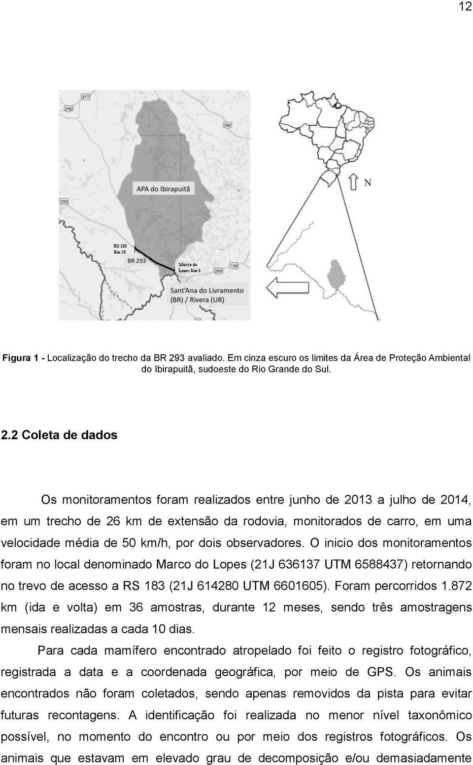 2 Coleta de dados Os monitoramentos foram realizados entre junho de 2013 a julho de 2014, em um trecho de 26 km de extensão da rodovia, monitorados de carro, em uma velocidade média de 50 km/h, por