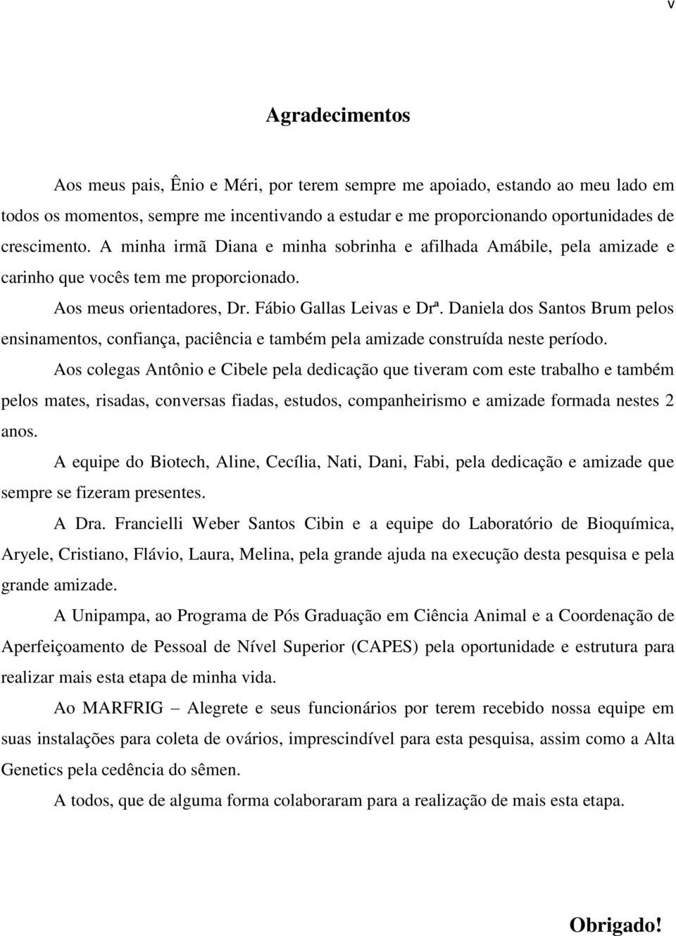 Daniela dos Santos Brum pelos ensinamentos, confiança, paciência e também pela amizade construída neste período.