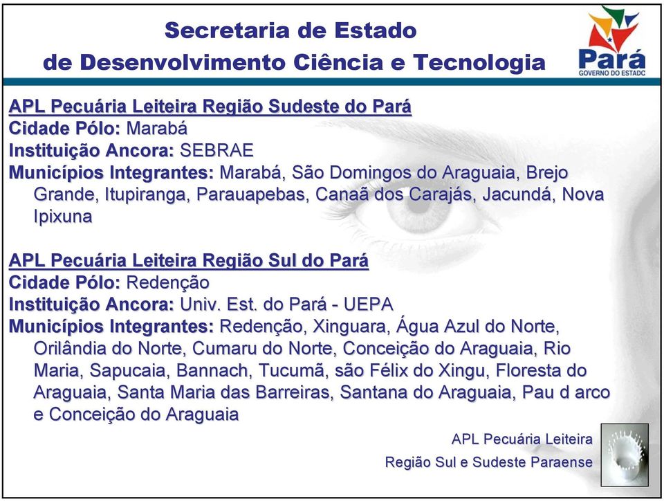 do Pará - UEPA Municípios Integrantes: Redenção, Xinguara, Água Azul do Norte, Orilândia do Norte, Cumaru do Norte, Conceição do Araguaia, Rio