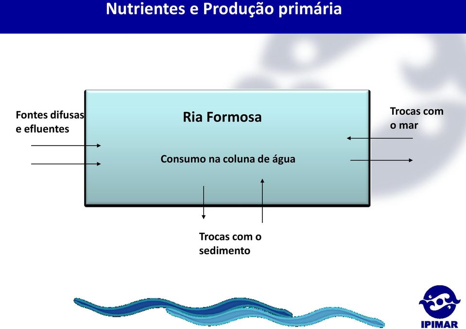 Formosa Fontes difusas e efluentes Ria Formosa