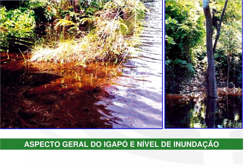 IGAPÓ E