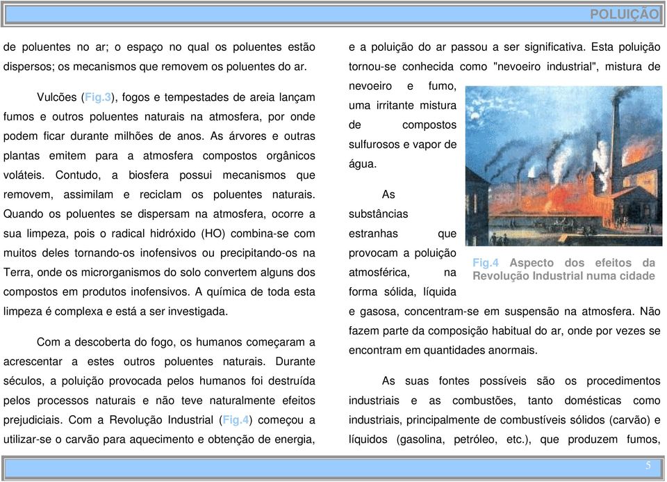 As árvores e outras plantas emitem para a atmosfera compostos orgânicos voláteis. Contudo, a biosfera possui mecanismos que removem, assimilam e reciclam os poluentes naturais.