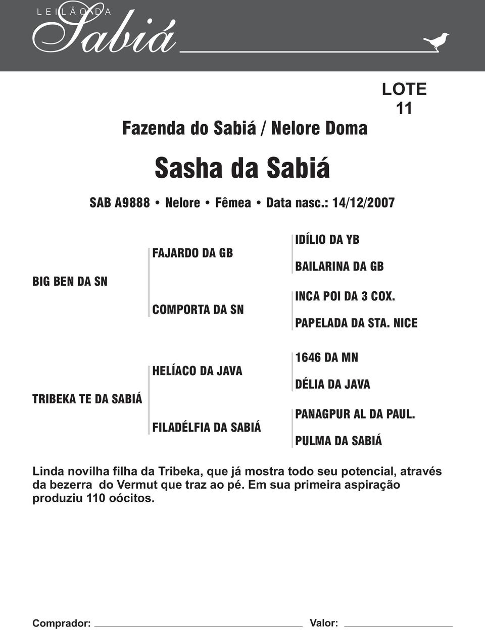 PAPELADA DA STA. NICE TRIBEKA TE DA SABIÁ HELÍACO DA JAVA FILADÉLFIA DA SABIÁ DÉLIA DA JAVA PANAGPUR AL DA PAUL.