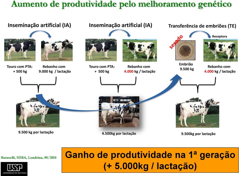 000 kg / lactação Touro com PTA: + 500 kg Rebanho com 4.000 kg / lactação Embrião 9.500 kg Rebanho com 4.000 kg / lactação 9.